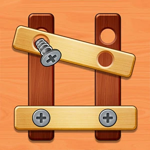 Nuts And Bolts Screw Puzzle